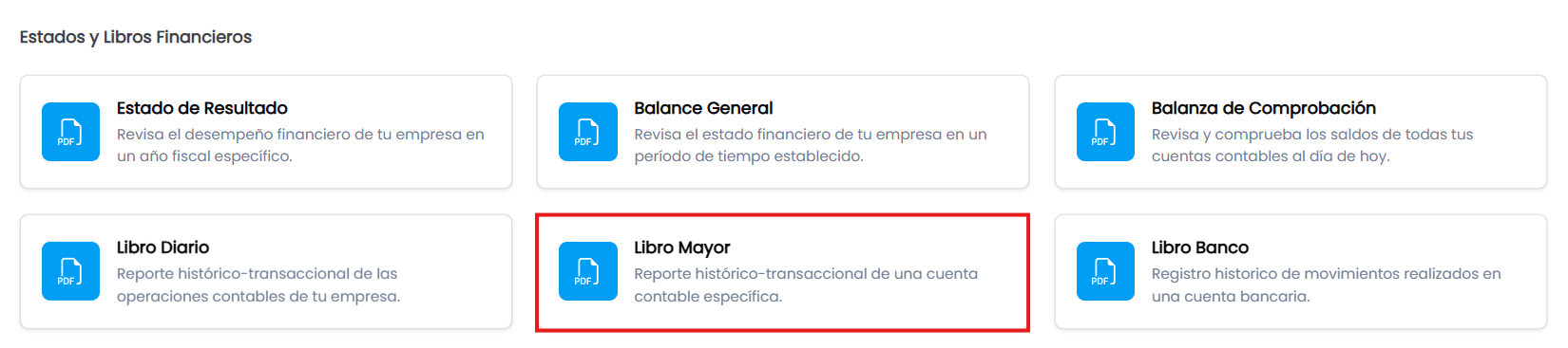 Acceso al Libro Mayor